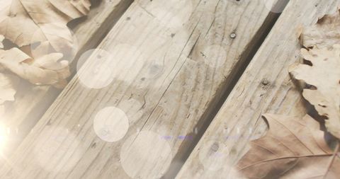 Autumn Leaves and Light Spots on Wooden Surface - Download Free Stock Images Pikwizard.com