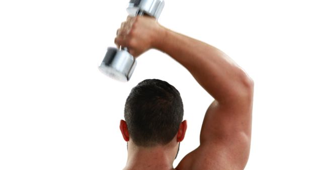 A Caucasian man is engaged in a workout, lifting a dumbbell to strengthen his arm muscles, with copy space. His focus on fitness and muscle development is evident from the exercise posture.