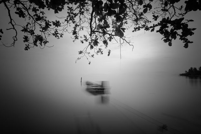 Serene Black and White Long Exposure of Boat and Tree Branches - Download Free Stock Photos Pikwizard.com
