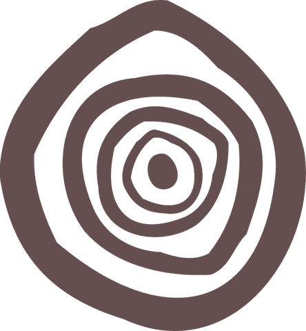 abstract concentric rings on transparent background - Download Free Stock Videos Pikwizard.com