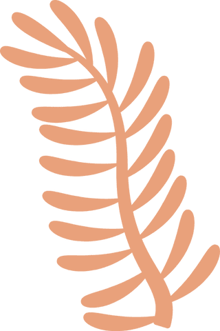 Botanical peach frond on transparent background