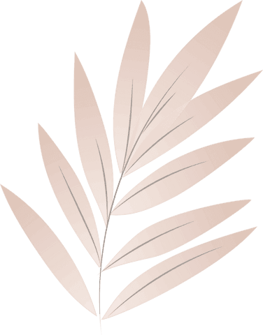 Elegant Blush Gradient Palm Leaf on Transparent Background - Download Free Stock Videos Pikwizard.com