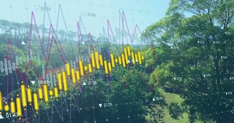 Environmental data visualizing over park landscape with candlestick charts and trend lines
