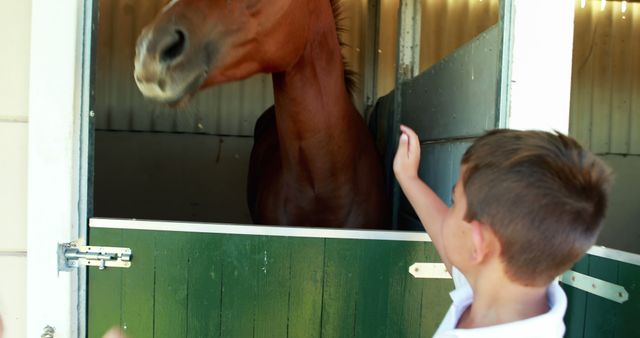 Boy interacting with horse at a stable, reaching out to touch horse. Rural life, children's outdoor activities, petting animals. Suitable for scenes depicting farm visits, animal care, outdoor education.
