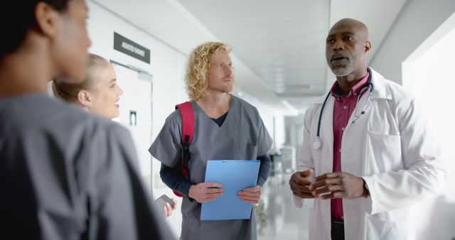 Medical Team Discussing Patient Care in Hospital Hallway - Download Free Stock Images Pikwizard.com