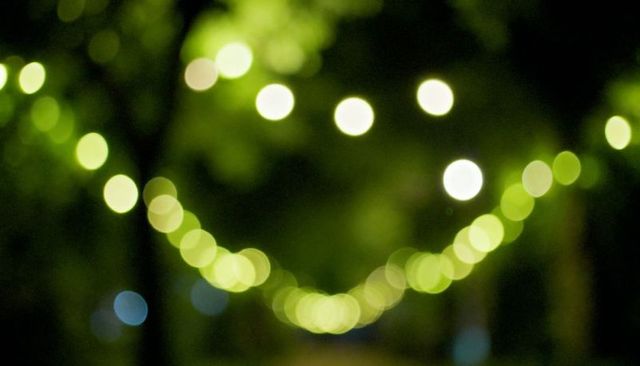 Green bokeh string lights forming v-shaped arc over tree-lined night pathway, festive glow