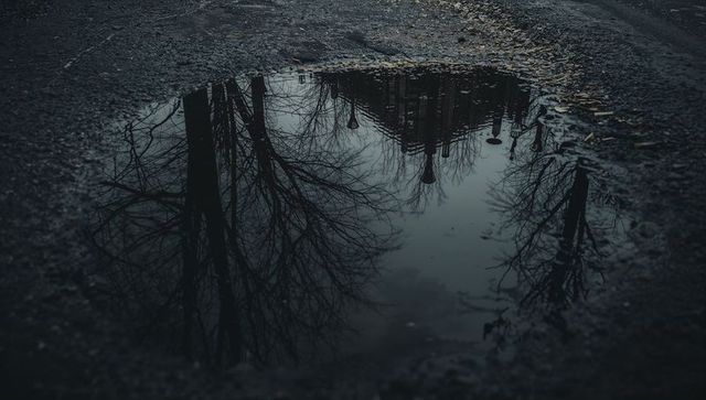 Moody urban puddle reflection showing bare trees, historic building and street lamps at dusk