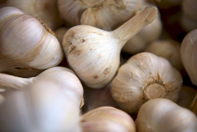 Glimpse into the world of fresh garlic bulbs, highlighting their natural and organic texture. This image can be used for culinary blogs, healthy eating articles, organic farming advertisements, or spice and ingredient listings.