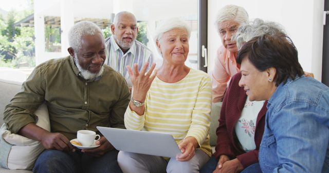 Senior Friends Conversing Around Laptop in Cozy Living Room - Download Free Stock Images Pikwizard.com