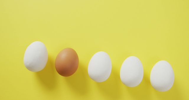 Five Eggs with One Brown Egg Standing Out on Yellow Background - Download Free Stock Images Pikwizard.com