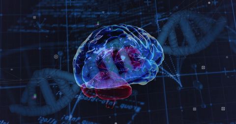 Futuristic Brain and DNA Interface with Digital Data - Download Free Stock Images Pikwizard.com