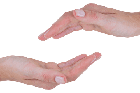 Caucasian Male Hand Gestures on Transparent Background - Download Free Stock Videos Pikwizard.com