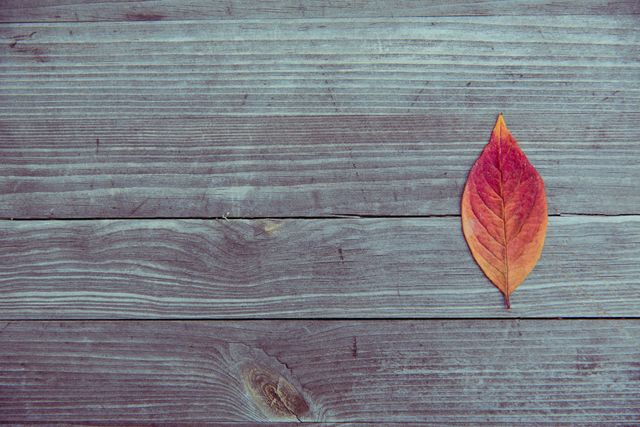 Single Red Autumn Leaf on Weathered Wooden Planks - Download Free Stock Photos Pikwizard.com