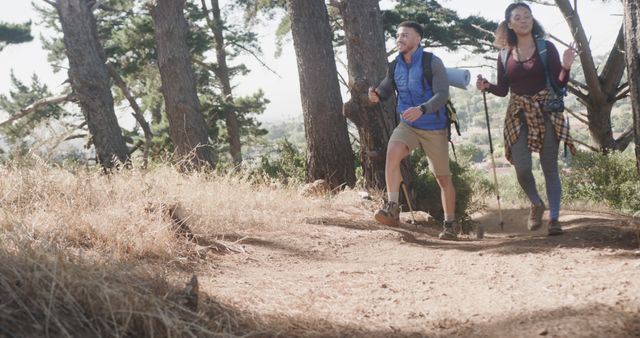 Couple Hiking on Forest Trail in Sunny Weather - Download Free Stock Images Pikwizard.com