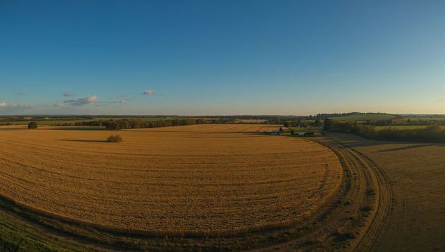 Golden harvested cereal field tracing sweeping curved tractor tracks across rural panorama