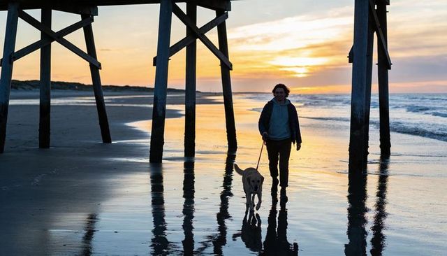 Man walking labrador under pier at sunset with wet reflections and coastal silhouette