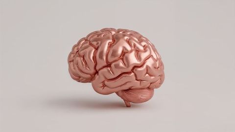 Rose Gold Metallic Brain Model on Beige Surface