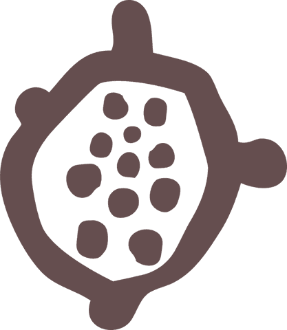 Abstract stylized cellular form on transparent background