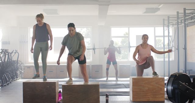 Group Fitness Training Doing Box Jumps in a Gym - Download Free Stock Images Pikwizard.com