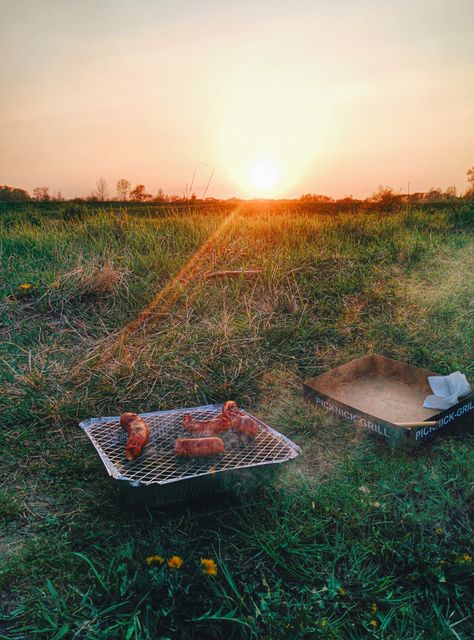 Outdoor Barbecue Picnic During Sunset in Field - Download Free Stock Images Pikwizard.com