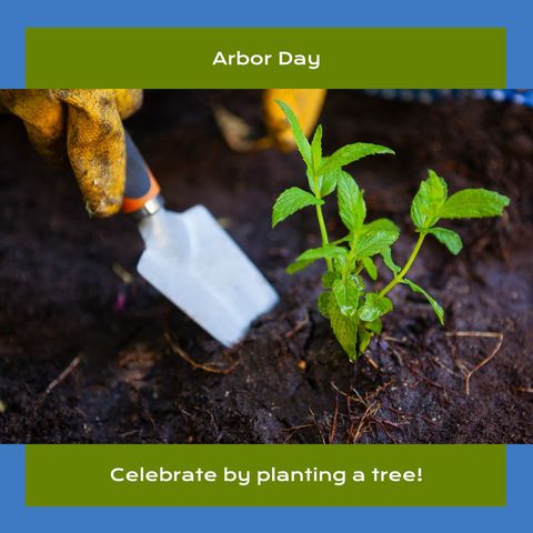 woman planting seedling in garden for arbor day celebration - Download Free Stock Templates Pikwizard.com