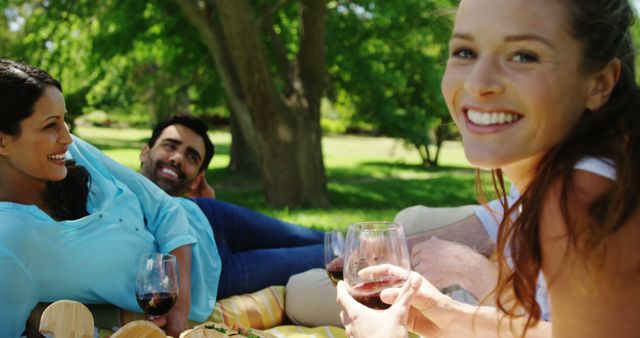 Friends Relaxing in Park Enjoying Wine and Picnic on Sunny Day - Download Free Stock Images Pikwizard.com