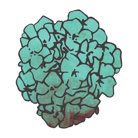 Transparent bouquet of turquoise flowers illustration