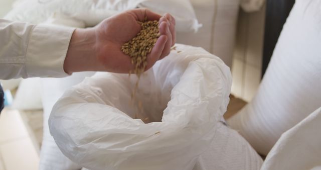 Hand Pouring Grain into Sack in Agricultural Setting - Download Free Stock Images Pikwizard.com