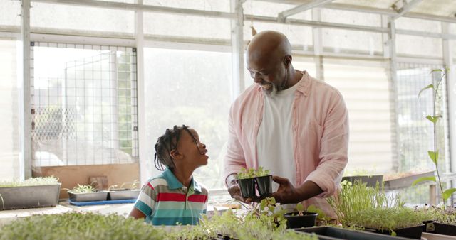 Grandfather and Grandson Bonding over Gardening in Greenhouse - Download Free Stock Images Pikwizard.com