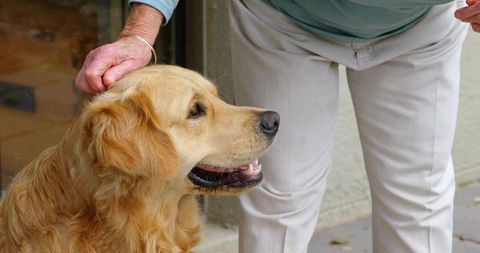 Senior woman gently petting golden retriever on porch