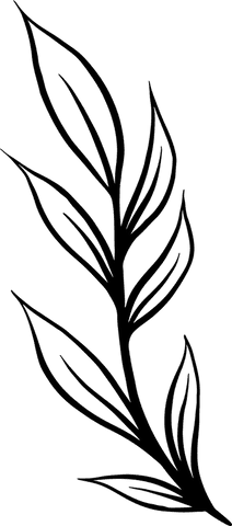 transparent botanical line art with minimalistic leaves - Download Free Stock Videos Pikwizard.com