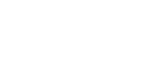 transparent pedigree chart flow diagram structure outline - Download Free Stock Videos Pikwizard.com