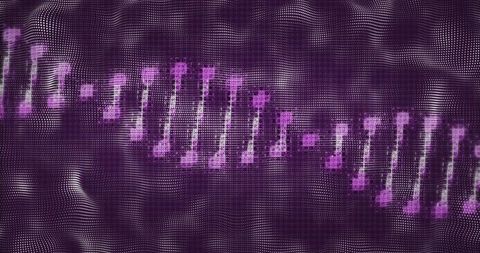 Pulsing magenta chain flowing across purple dotted digital mesh with glitch neon highlights