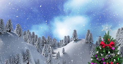 Festive Christmas Tree in Snowy Evergreen Winter Landscape