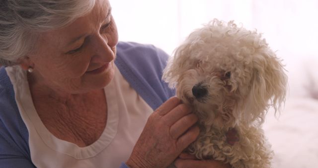 Elderly woman with grey hair interacting with a fluffy dog in a cozy indoor setting. Ideal for themes related to seniors, companionship, pets, home life, and mental well-being.