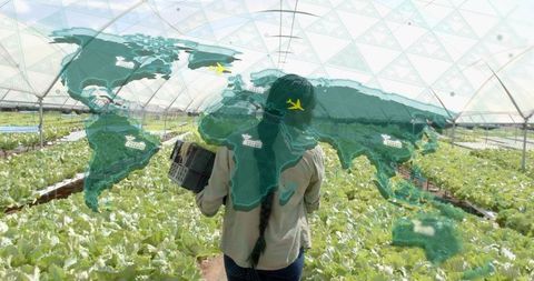 Female Farmer with Lettuce Farmer in Greenhouse, World Map Overlay Concept