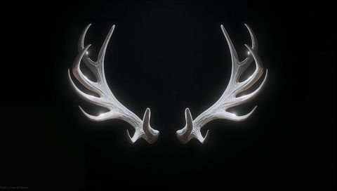 Rim-lit symmetrical deer antlers floating on black background minimal ivory sculpture