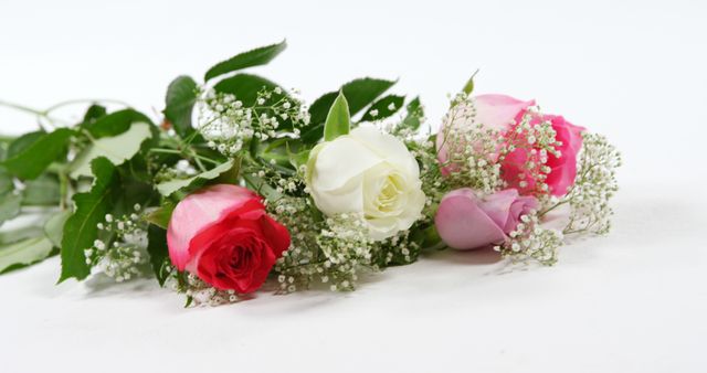 Romantic bouquet of red, white, and pink roses combined with delicate baby's breath flowers. Ideal for use in designs related to weddings, romantic celebrations, Valentine’s Day, gardening, and floral decor. Offers an elegant aesthetic for brochures, greeting cards, and web banners.