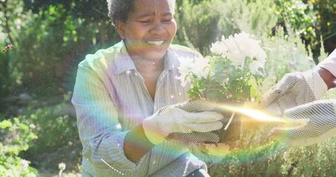 Gardener receives potted plant in sunlit garden, showcasing nature connection
