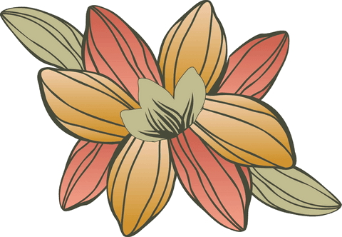 Vibrant Botanical Art with Two-Tone Flowers and Leaves on Transparent