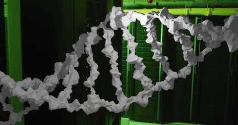 3D DNA Strand Overlooking Futuristic Computer Server Room - Download Free Stock Images Pikwizard.com