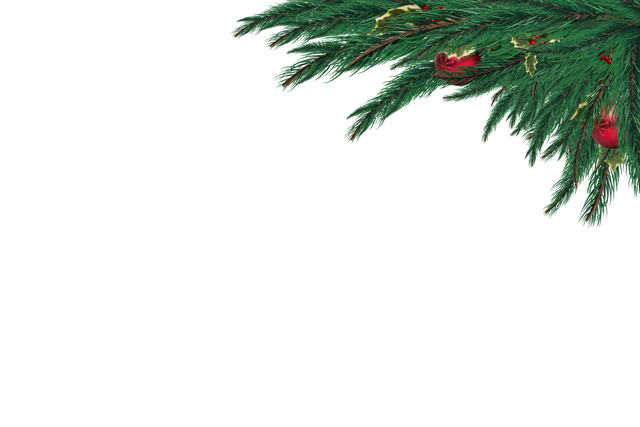 Transparent Festive Fir Branch with Red Baubles for Christmas - Download Free Stock Videos Pikwizard.com