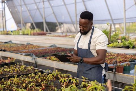 African american man inspecting seedlings in greenhouse nursery taking notes on clipboard