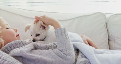 Tender moment of a girl and her small dog relaxing on couch