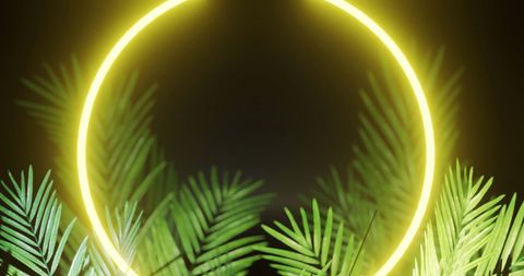 Tropical leaves against neon yellow circle on dark background