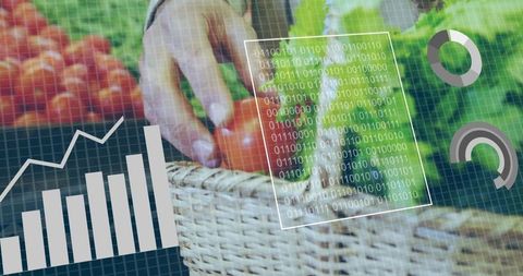 Innovative agriculture iot: farmer with fresh produce and digital analytics