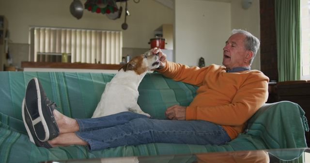 Caucasian senior man petting his dog on sofa at home. Retirement, senior lifestyle, happiness, domestic life, animals and wine making, unaltered.