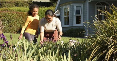 Mother and Daughter Gardening Together in Suburban Front Yard Tending Iris Bed