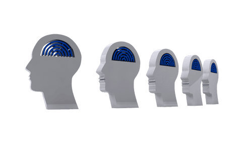 digital silhouette heads with labyrinths on transparent background - Download Free Stock Videos Pikwizard.com