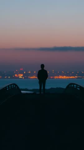Silhouette man standing on walkway watching dawn over city lights vertical video